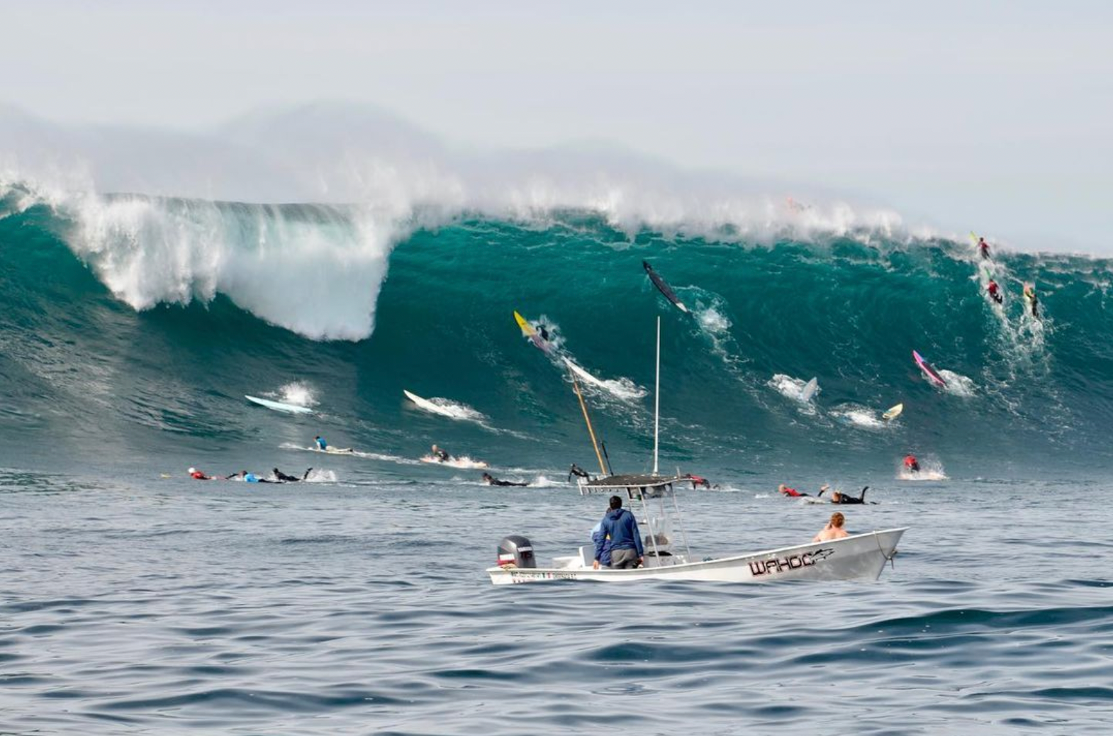 The Swells That Kickstarted The Eddie